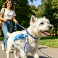 Anti-leak Dog Water Bottle 285ml Outdoor Travel Portable Pet Drinking Bowl Hanging Lanyard Puppy Walking Water Feeder