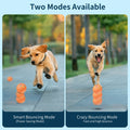Smart Dog Toy Ball Electronic Interactive Pet Toy Ball USB Automatic Bouncing Rolling Toy Ball With RGB Lights Puppy Cat Product