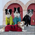 The Ultimate Waterproof Jumpsuit for Large Breeds