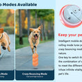 Smart Dog Toy Ball Electronic Interactive Pet Toy Ball USB Automatic Bouncing Rolling Toy Ball With RGB Lights Puppy Cat Product