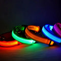Reflective LED Dog Collar for Night Safety - Durable, Geometric Patterned, Battery-Powered, Ideal for Small/Medium Breeds