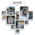 Puppy Dog Car Seat Travel Central Control Portable Pet Carrier for Small Dogs Chihuahua Teddy Cats Car Transport Dog Accessories