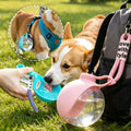 Anti-leak Dog Water Bottle 285ml Outdoor Travel Portable Pet Drinking Bowl Hanging Lanyard Puppy Walking Water Feeder