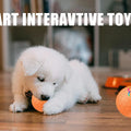 Smart Dog Toy Ball Electronic Interactive Pet Toy Ball USB Automatic Bouncing Rolling Toy Ball With RGB Lights Puppy Cat Product